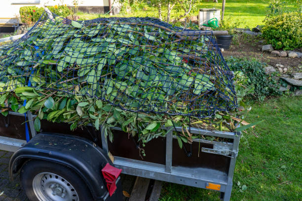 Best Estate Cleanout  in Turners Falls, MA